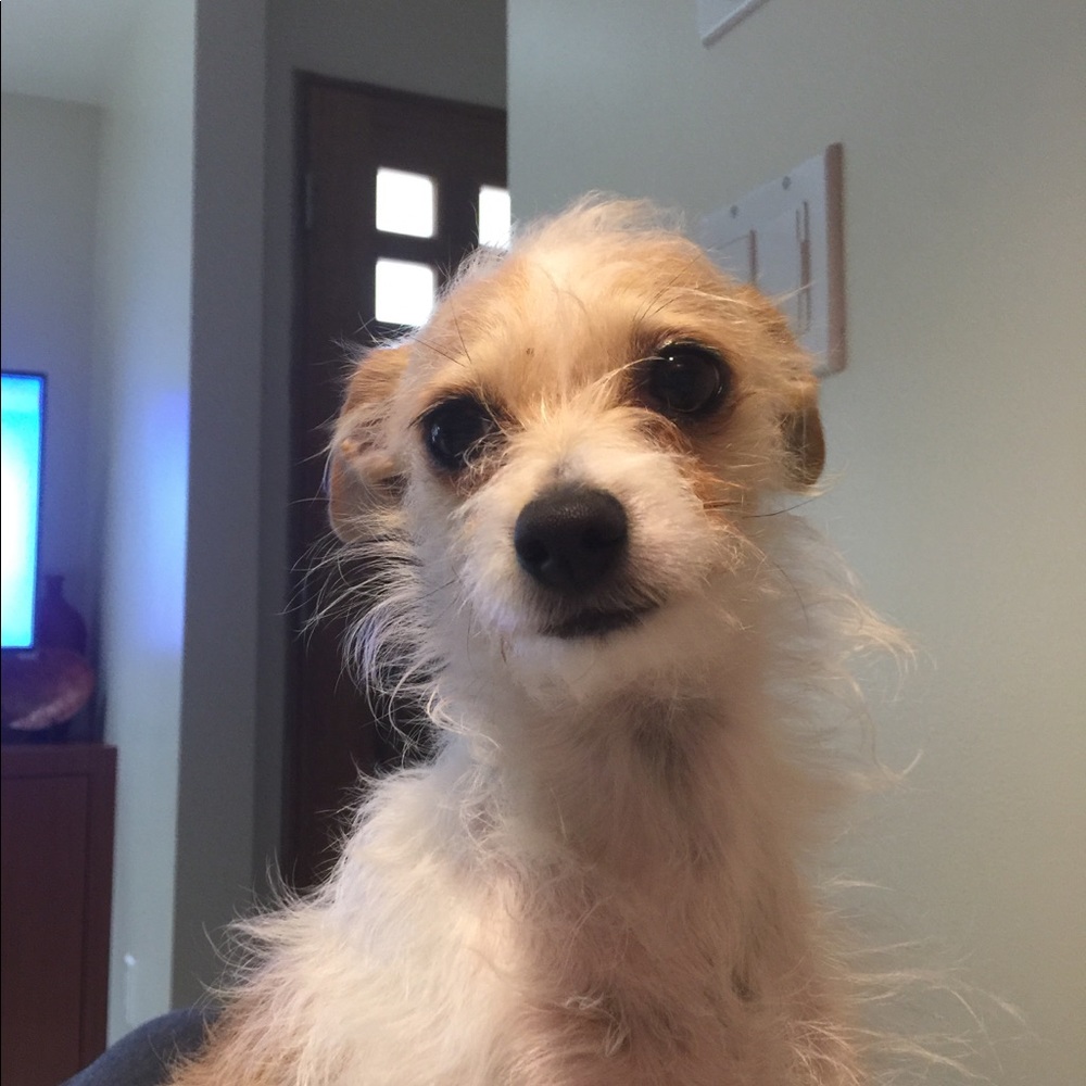 Meet your Posher, Debra